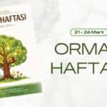 Okul Öncesi Eğitimde Orman Haftası İçin Hazırlanan Etkinlik Takvimi Yayımlandı